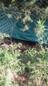 2017-02-01-PHOTO-00000044