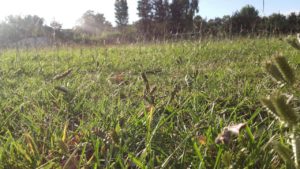 2017-02-01-PHOTO-00000048